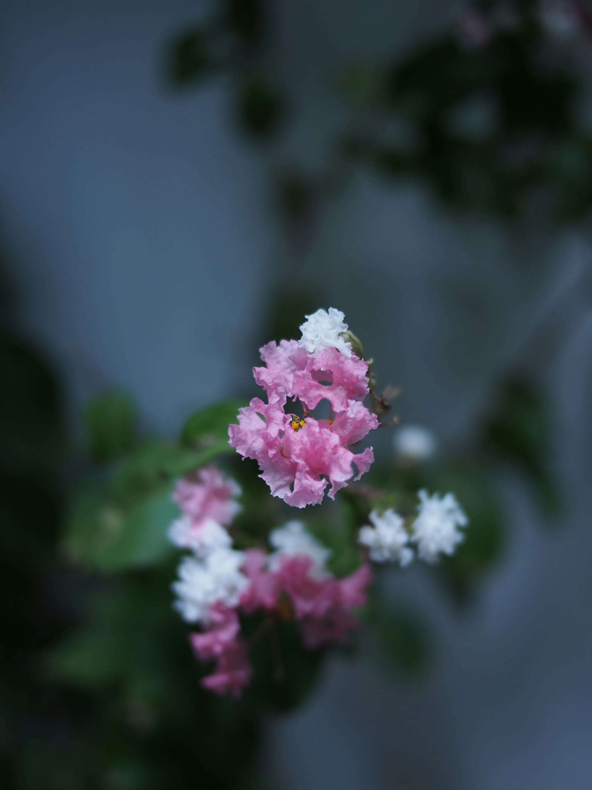 The Architecture of Self: Psyche, Ego, Unconscious