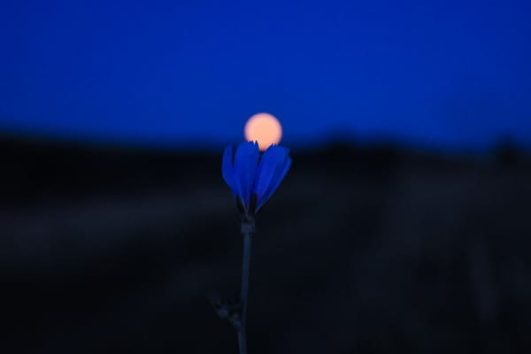 Photo by Alex Meta on Unsplash