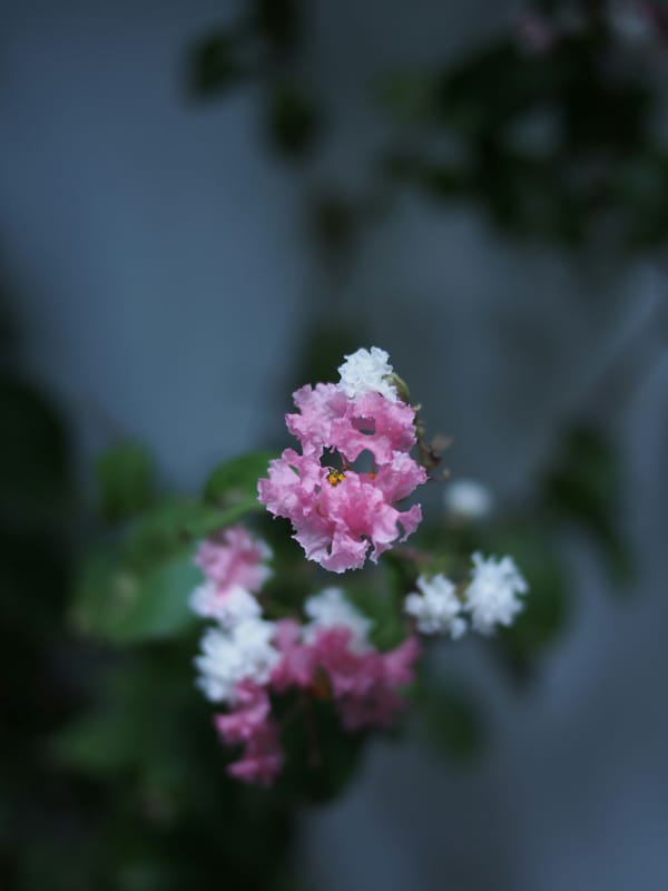 The Architecture of Self: Psyche, Ego, Unconscious