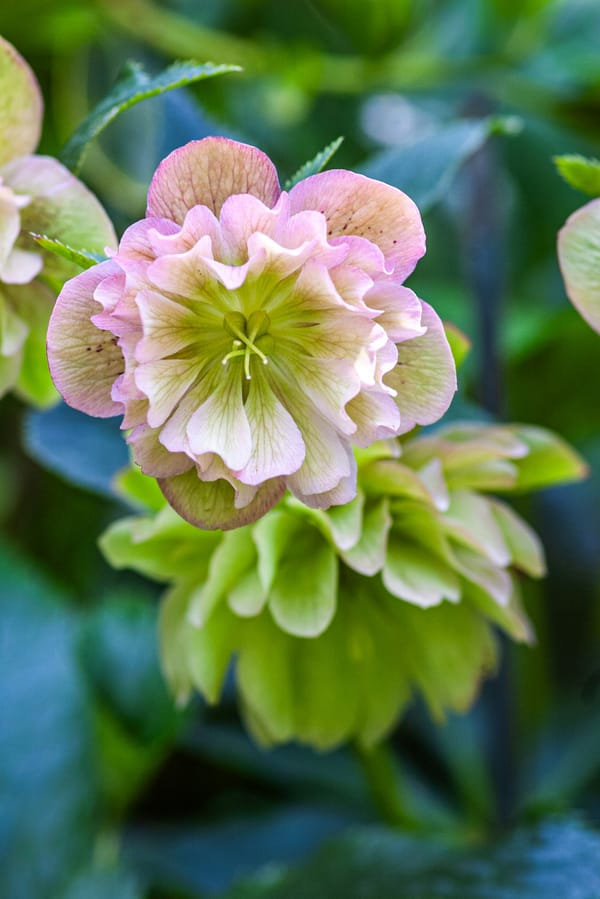 The 'hidden' energy of change